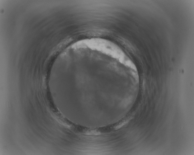 X0000081460258200702092322