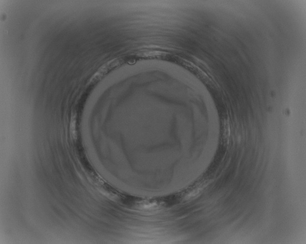 X0000081460267200702092322