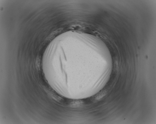 X0000081460274200702092322