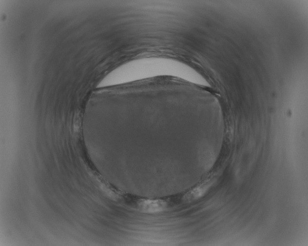 X0000081460277200702092322