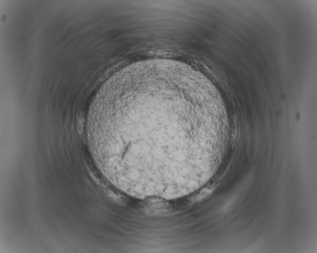 X0000081460281200702092322