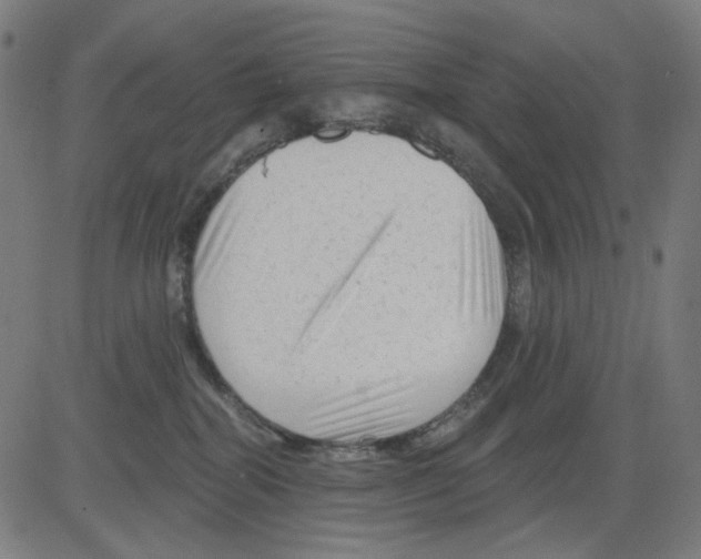 X0000081460282200702092322