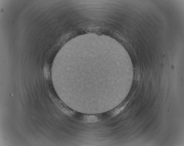 X0000081460287200702092322