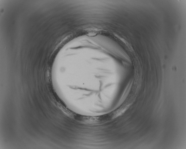 X0000081460288200702092322