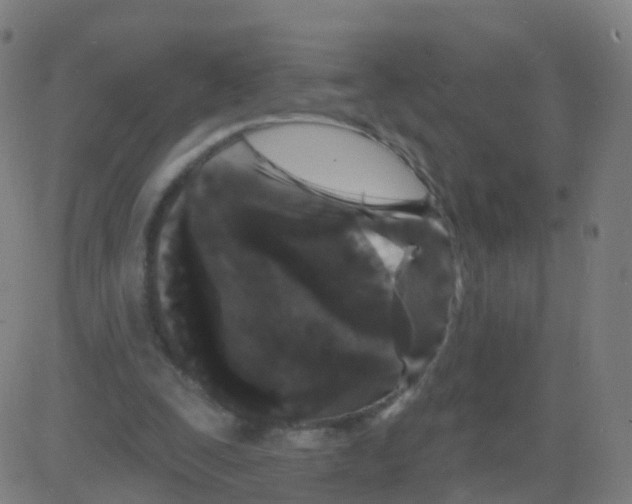 X0000081460295200702092322