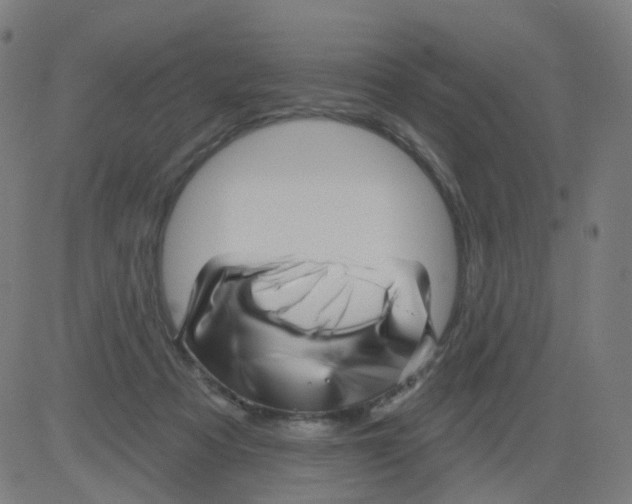 X0000081460313200702092321