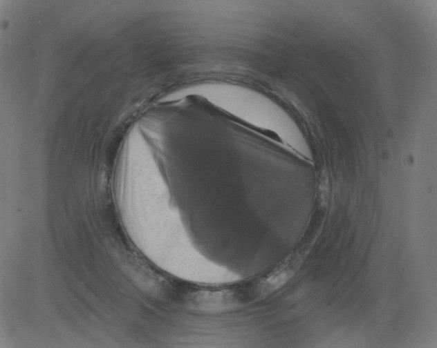 X0000081460314200702092321