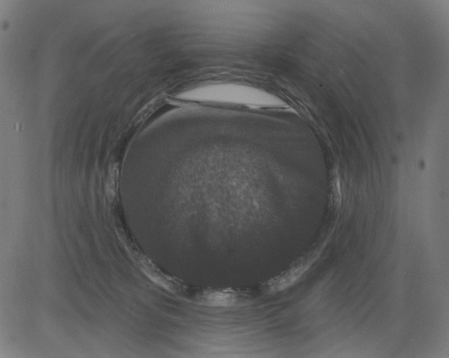 X0000081460325200702092321