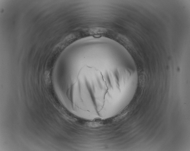 X0000081460327200702092321