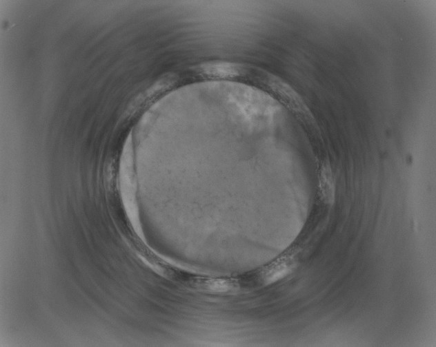 X0000081460330200702092321