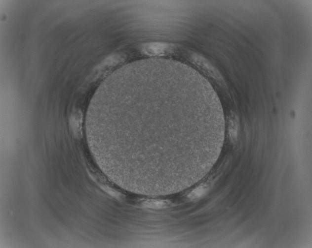 X0000081460332200702092321