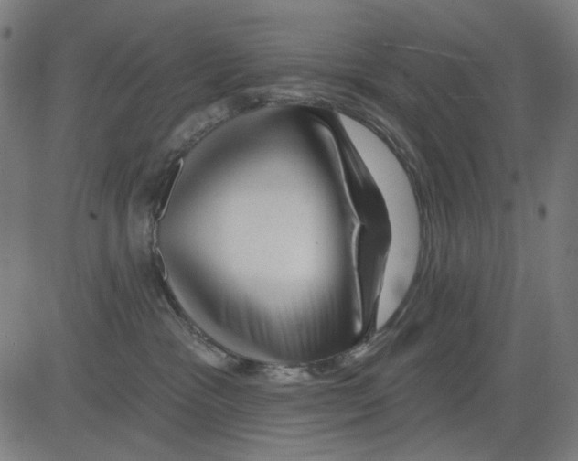 X0000081460333200702092321