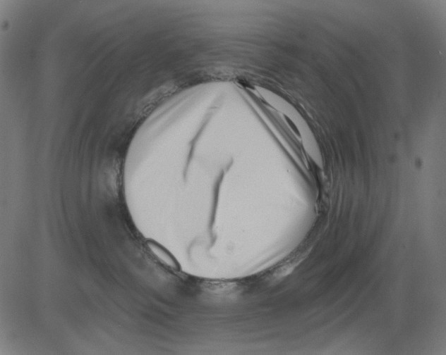 X0000081460334200702092321