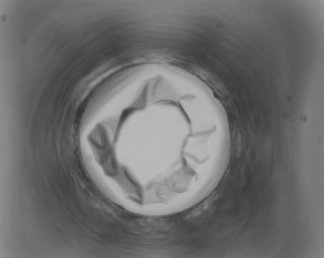 X0000081460338200702092320
