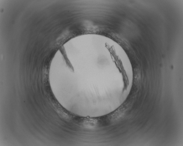 X0000081460369200702092321