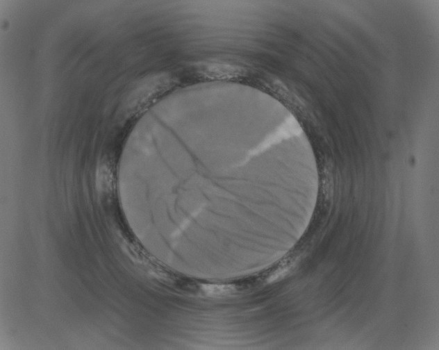 X0000081460371200702092321