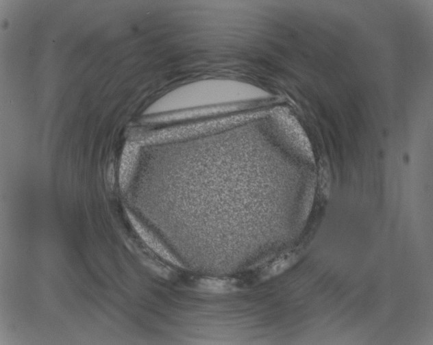 X0000081460375200702092321