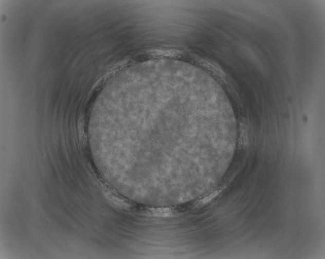 X0000081460377200702092321