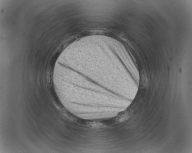 X0000081460379200702092321
