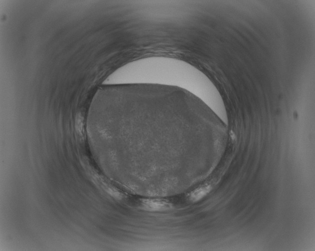 X0000081460380200702092321