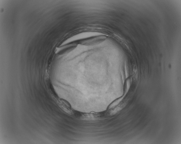 X0000081460381200702092321