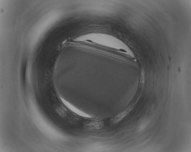 X0000081460383200702092321