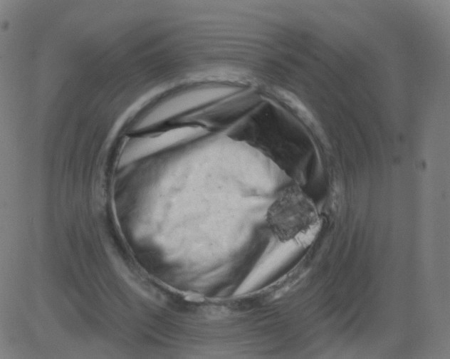 X0000081460392200702092320