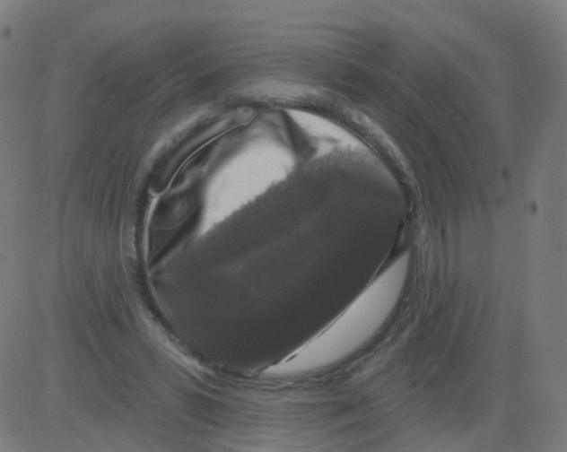 X0000081460399200702092320