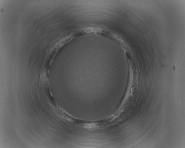 X0000081460411200702092320