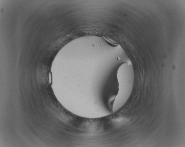 X0000081460416200702092320