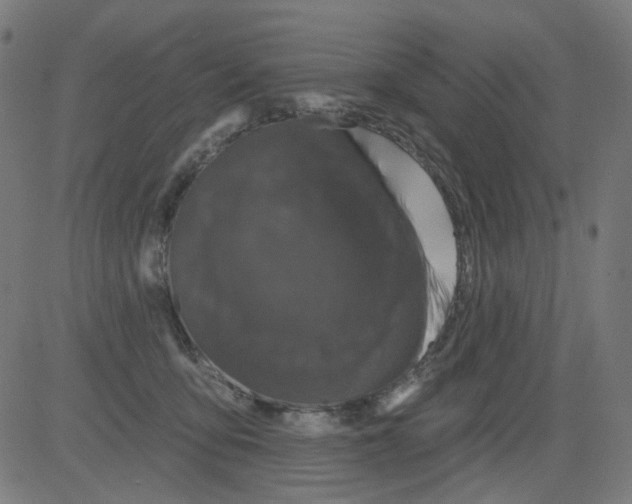 X0000081460419200702092320
