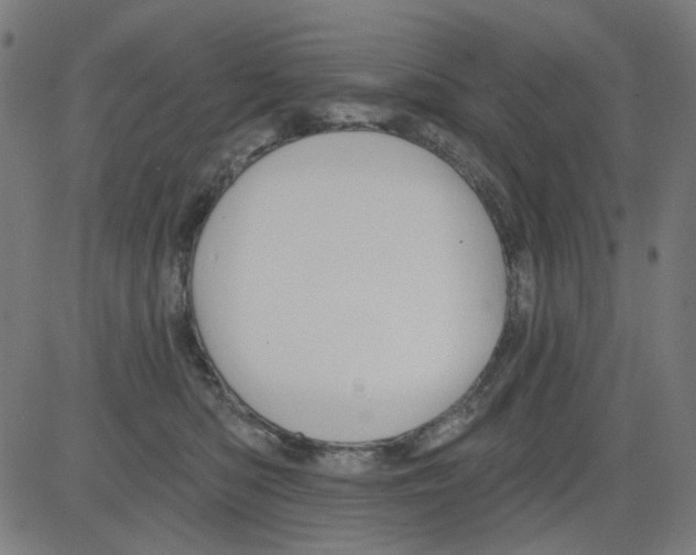 X0000081460422200702092320
