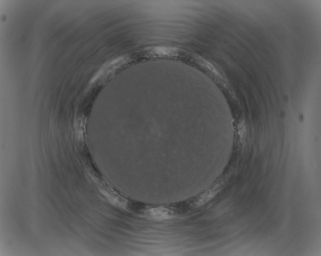 X0000081460423200702092319
