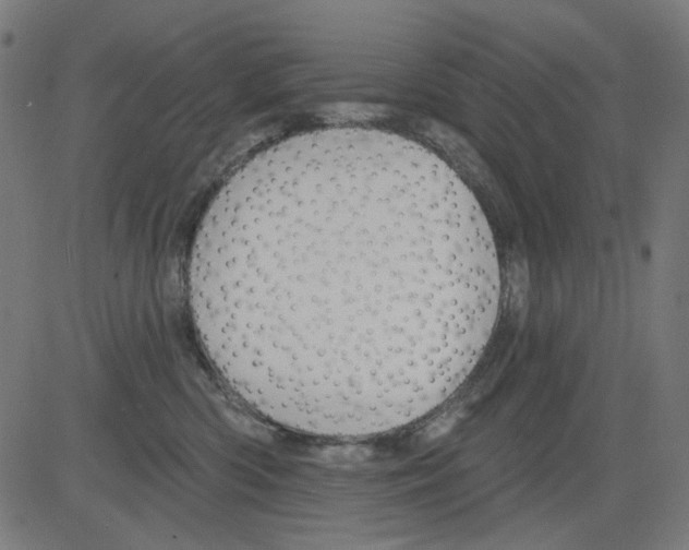 X0000081460426200702092319