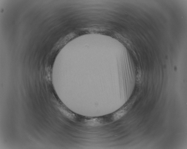 X0000081460430200702092319