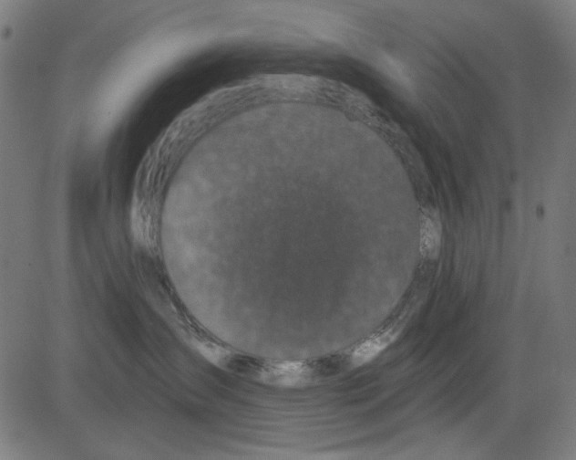 X0000081460431200702092319