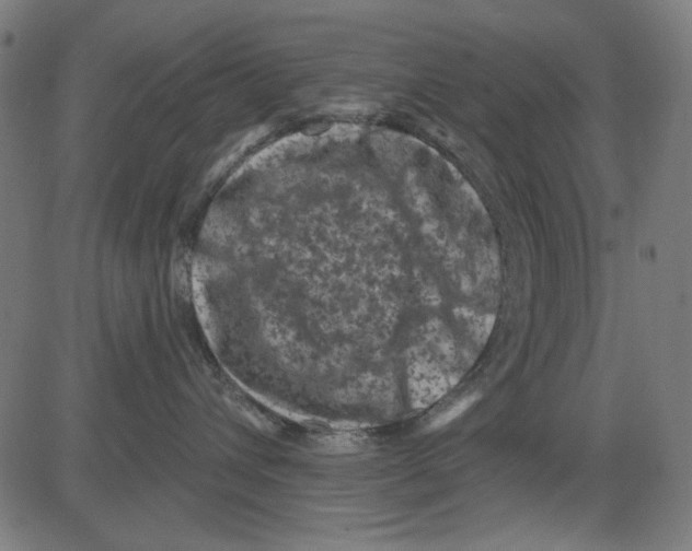 X0000081460432200702092319