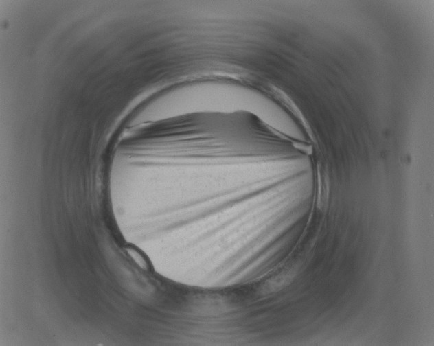 X0000081460435200702092319