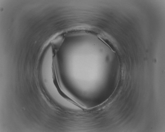 X0000081460436200702092319