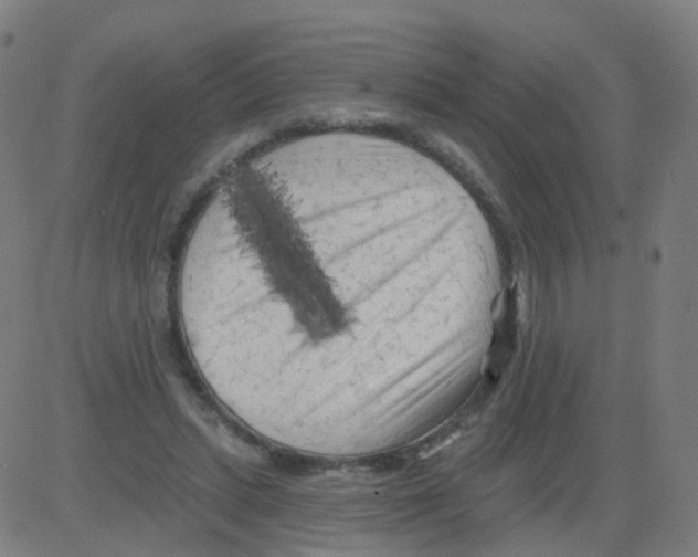 X0000081460447200702092319