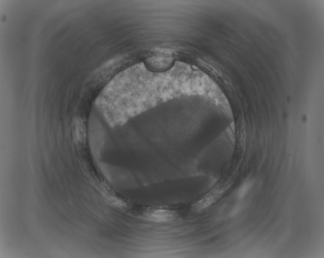 X0000081460467200702092319