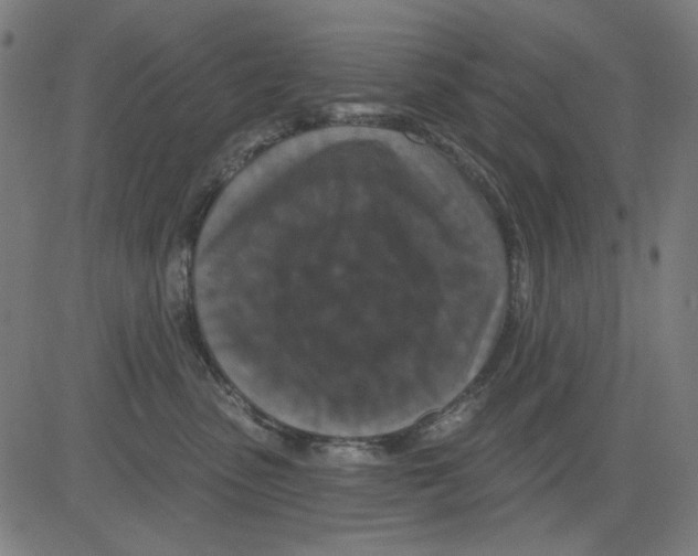 X0000081460475200702092319