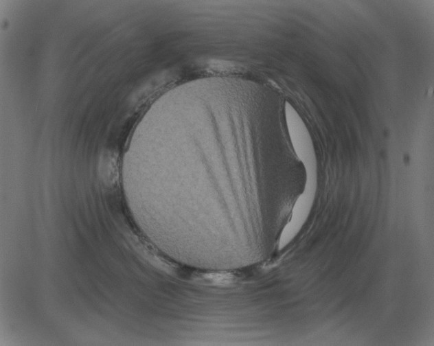 X0000081460478200702092319