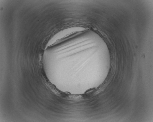 X0000081460480200702092319
