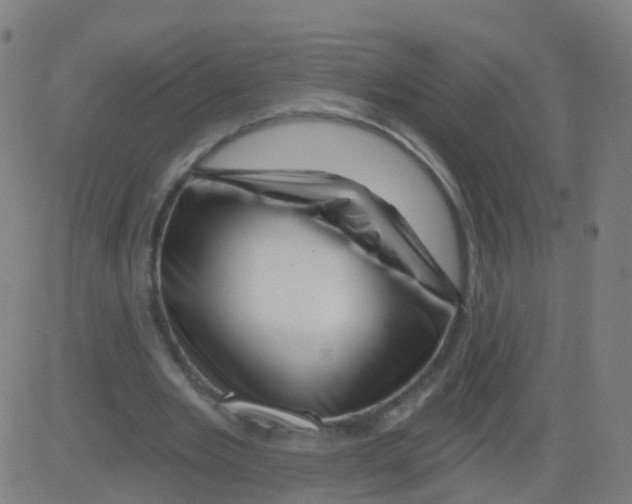 X0000081460485200702092318