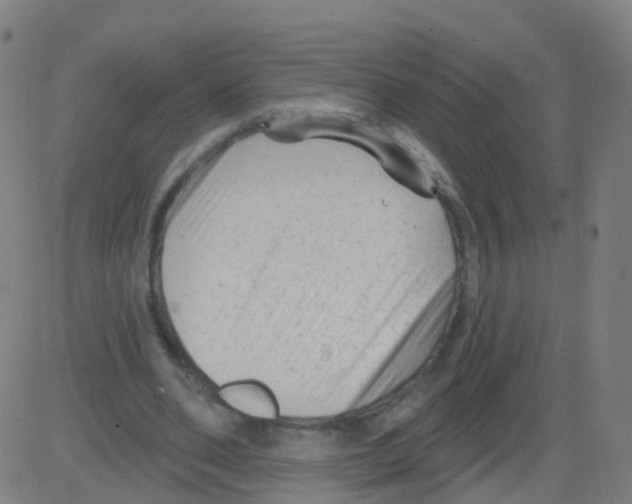 X0000081460486200702092318