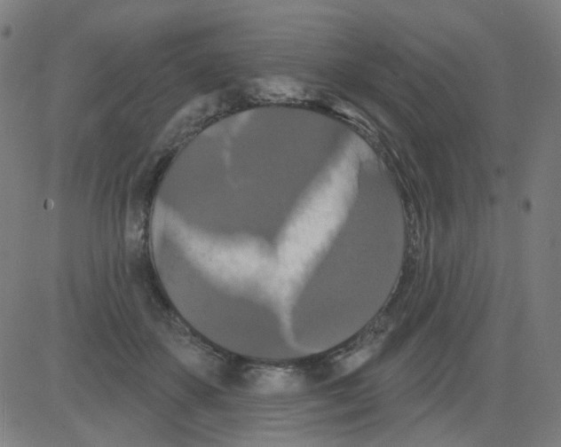 X0000081460507200702092318