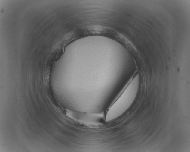 X0000081460509200702092318
