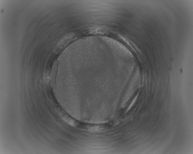 X0000081460513200702092318