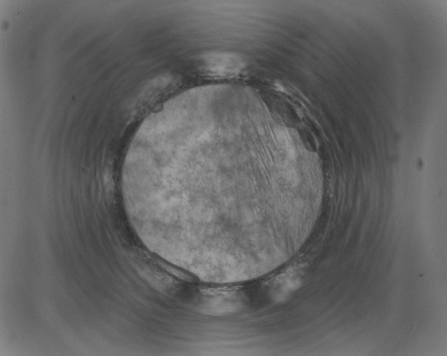 X0000081460516200702092318